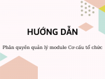 Hướng dẫn phân quyền quản lý module Cơ cấu tổ chức