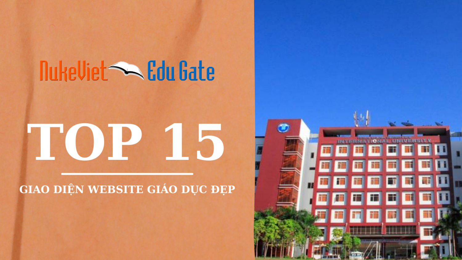 TOP 15 giao diện website cho 5 khối giáo dục đẹp nhất 2021